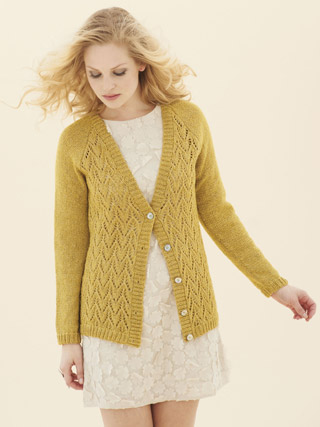 The Lustrous Extra Fine Merino DK Book 656 | Sirdar Yarns | English ...